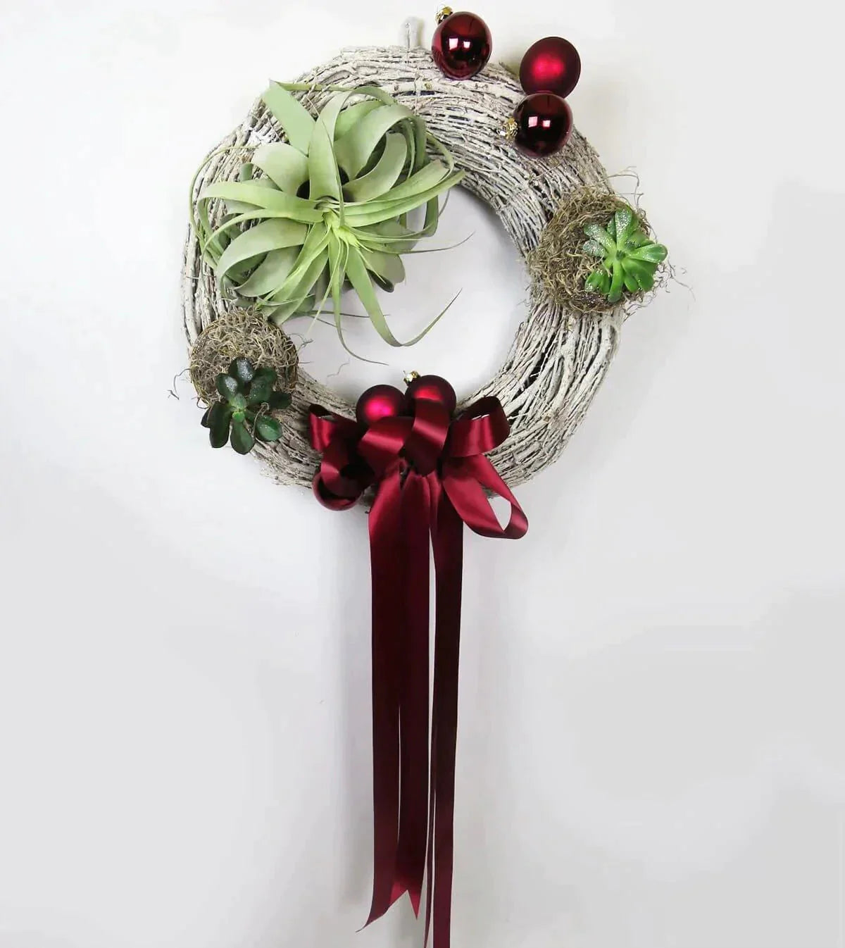 Air Plant Holiday Wreath™