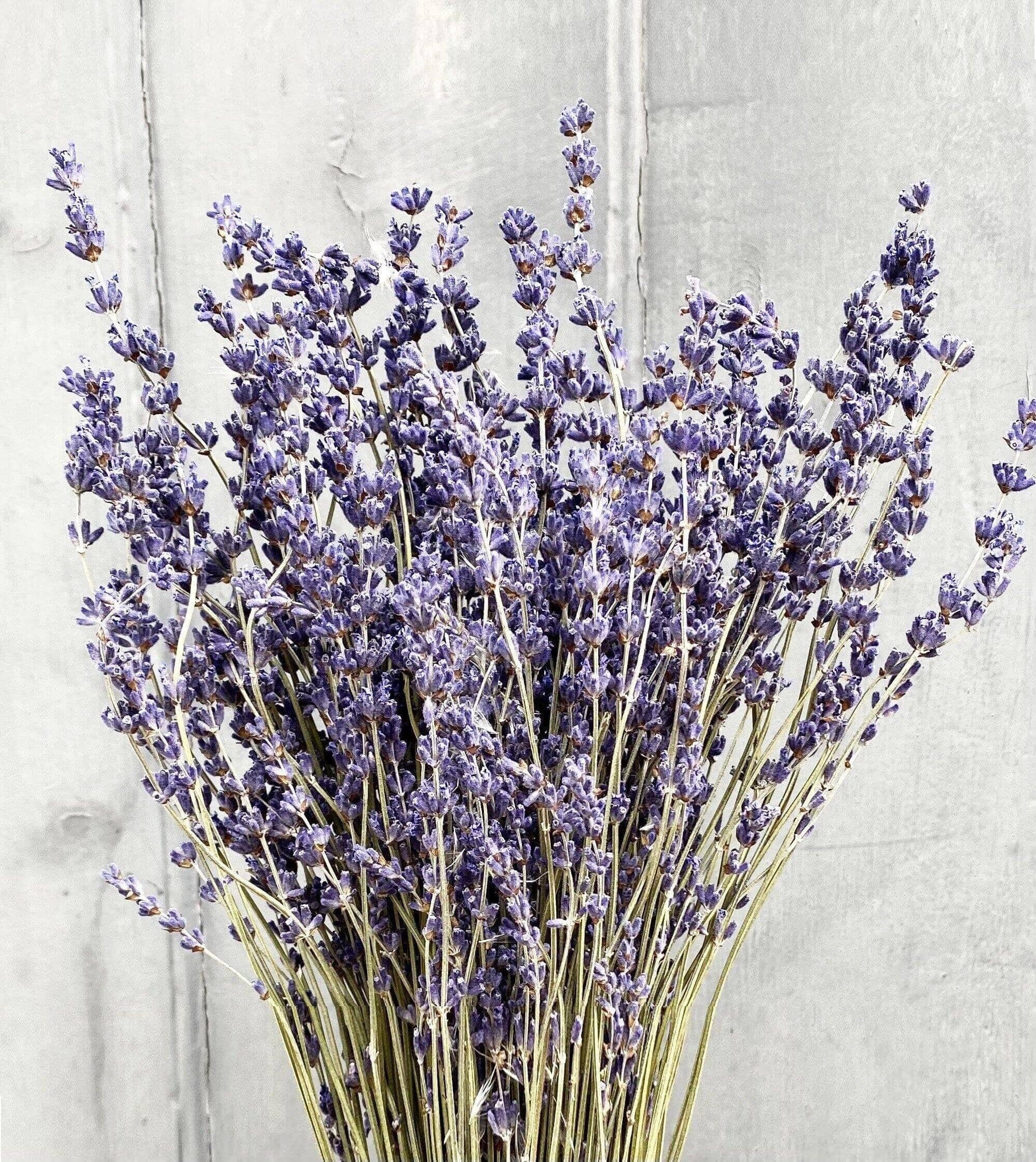 Ambrosial™ Dried Lavender Bouquet