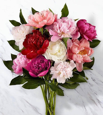 In Full Bloom Peony Bouquet - bouquet of peonies