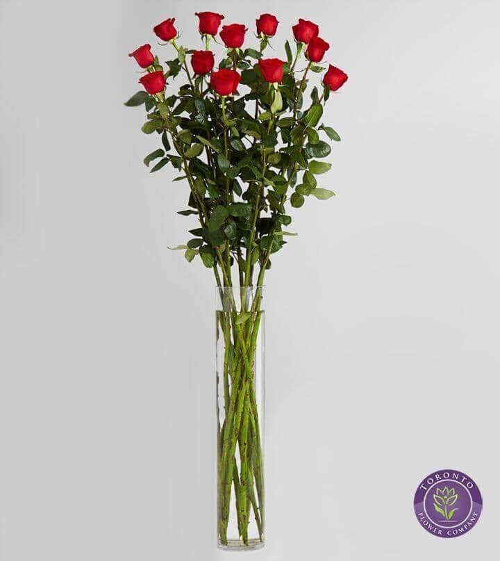 Magnificent Rose Bouquet - 4 Feet