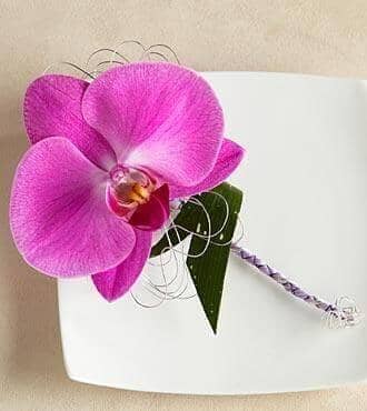 Phalaenopsis Orchid Boutonniere™