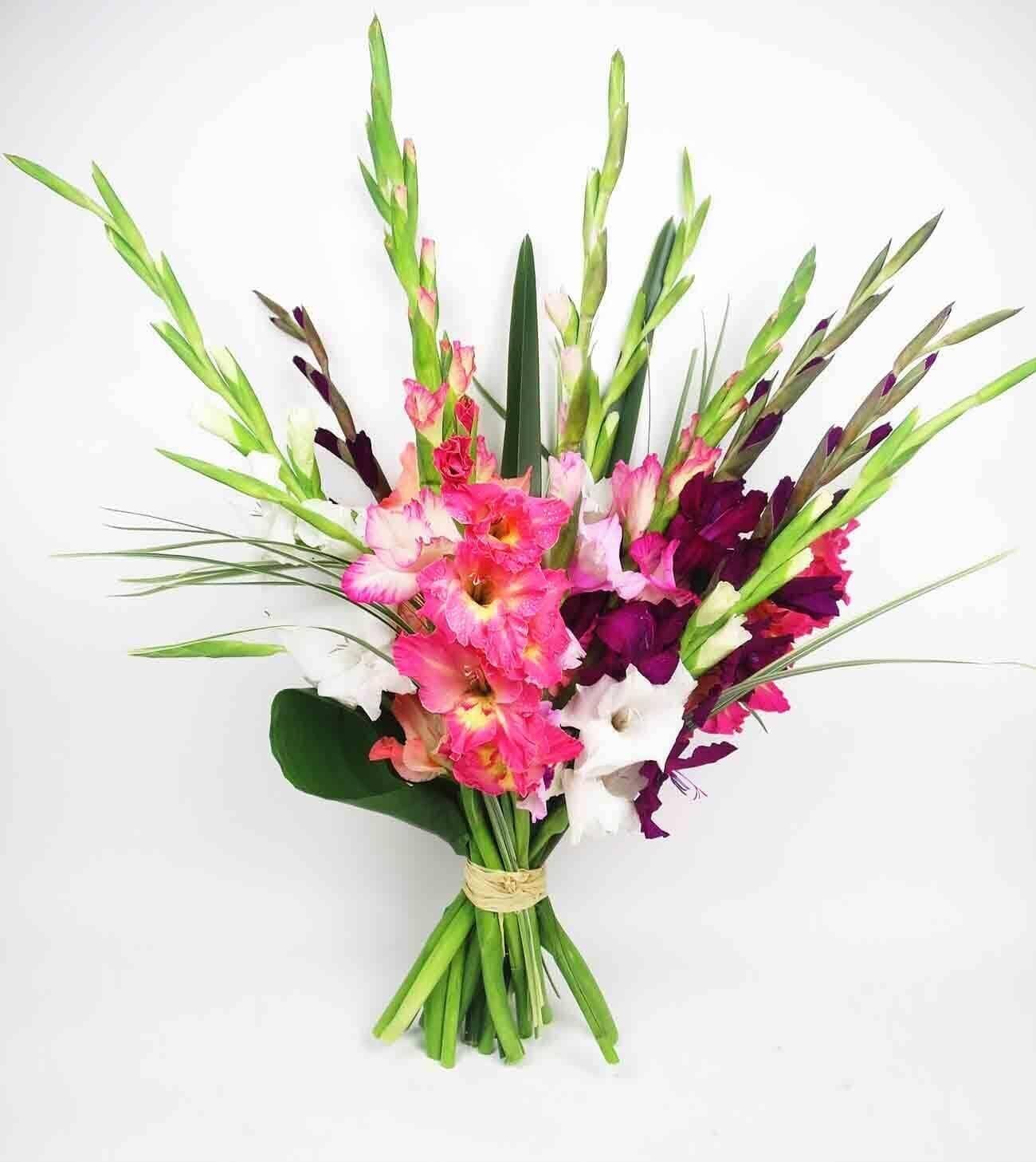 Rainbow Gladiolus™ Bouquet