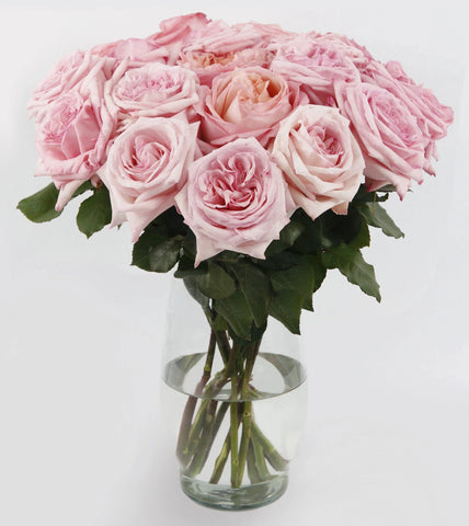 Scented Pink O’Hara Bouquet™ Toronto Flower Co.