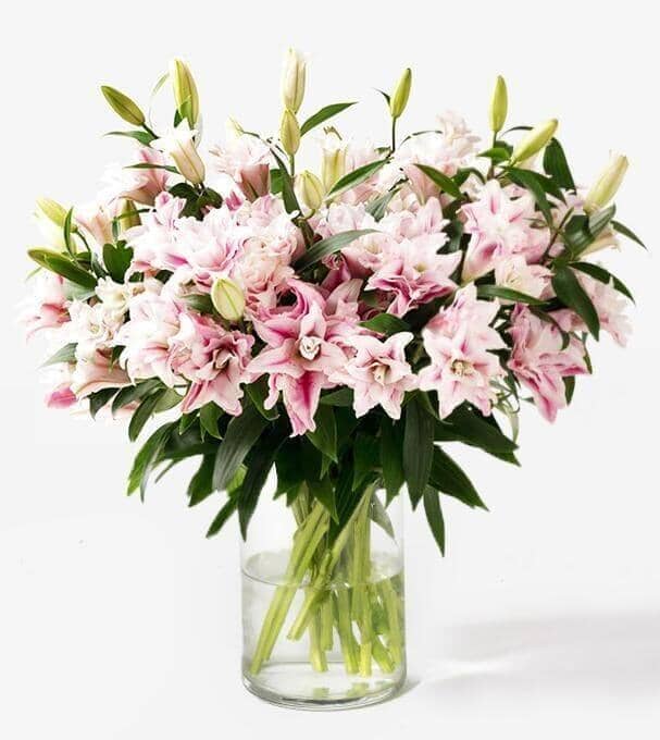 Our Starlight™ Rose Lilies Bouquet is a delicate arrangement of unique blush rose lilies, which only grow in select crops around the world.