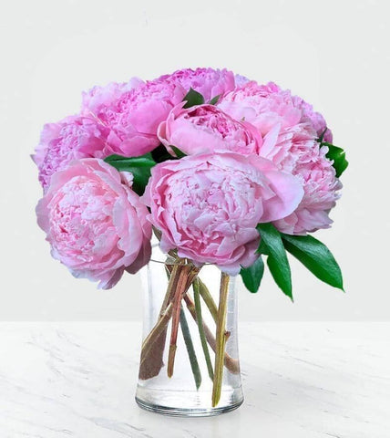 Royal Touch Bouquet - pink peonies , sarah bernhardt peonies