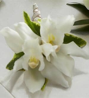 White Mini Cymbidium Boutonniere - white cymbidium orchids , variegated ivy , boutonniere , wedding , prom , graduation